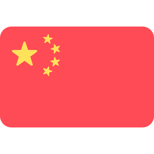 中文 flag
